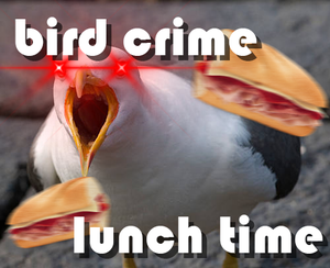 play Bird Crime Lunch Time