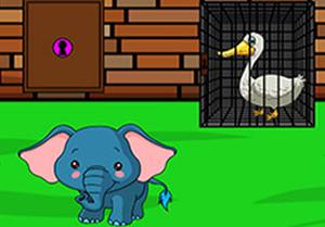 play Swan Rescue From Cage