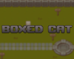play Boxed Cat