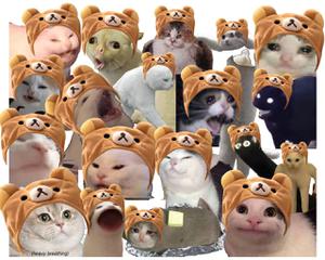 play Cat Wif Hat Flap