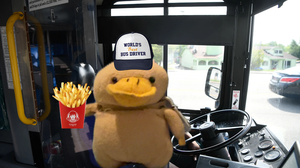 play Bus Game
