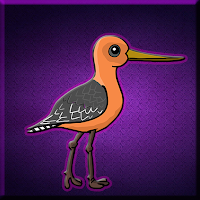 play G2J Cute Godwit Escape