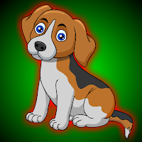 play G2J Little Beagle Dog Escape