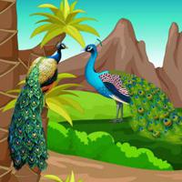 play Big-Escape From Peacock Forest