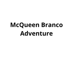 play Mcqueen Branco Adventure