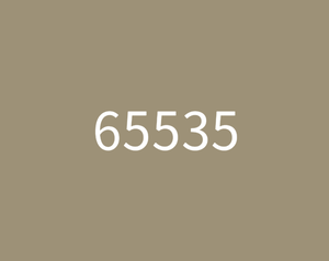 play 65535