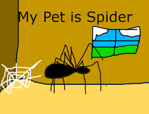 play My Pet Is Spider