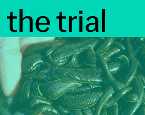 play The Trial