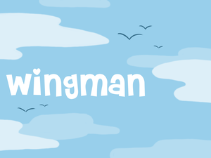 play Wingman
