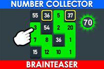 play Number Collector: Brainteaser