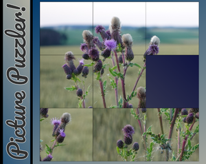 play Picture Puzzler