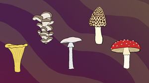play Mushroom Soup