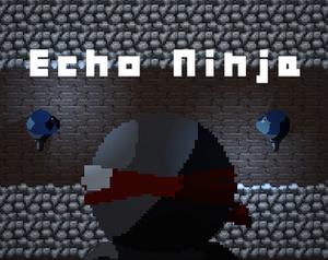 play Echo Ninja