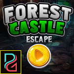 Forest Castle Escape game