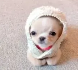 play Actividad 4.3.4