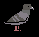 play Pigeon Home Hunting