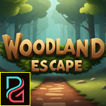 play Pg Woodland Escape