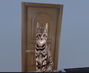 play Dude Does Puzzles Game