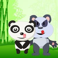 play Big-Kungfu Panda Pair Escape