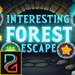 Interesting Forest Escape