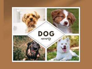 play Dogs Memory