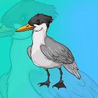 play G2J Crested Tern Escape