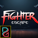 play Fighter Escape