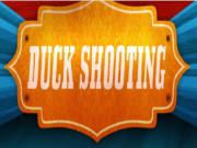 play Duckshooting