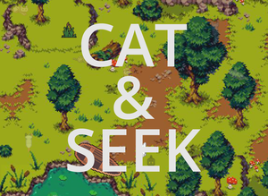 play Cat & Seek