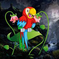 play Macaw Friends Meetup