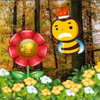 Succor The Honeybee Baby game