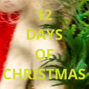 play 12 Days Of Christmas