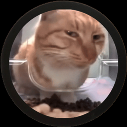 play Absord.Io