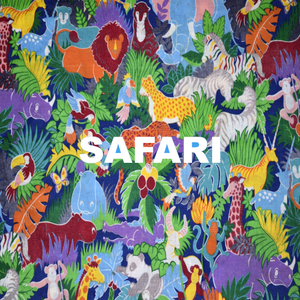 play Safari