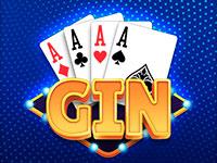 Gin Rummy