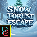 Snow Forest Escape