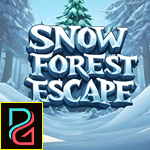 play Snow Forest Escape