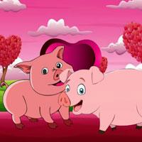 play Hog-Love Pig Pair Escape