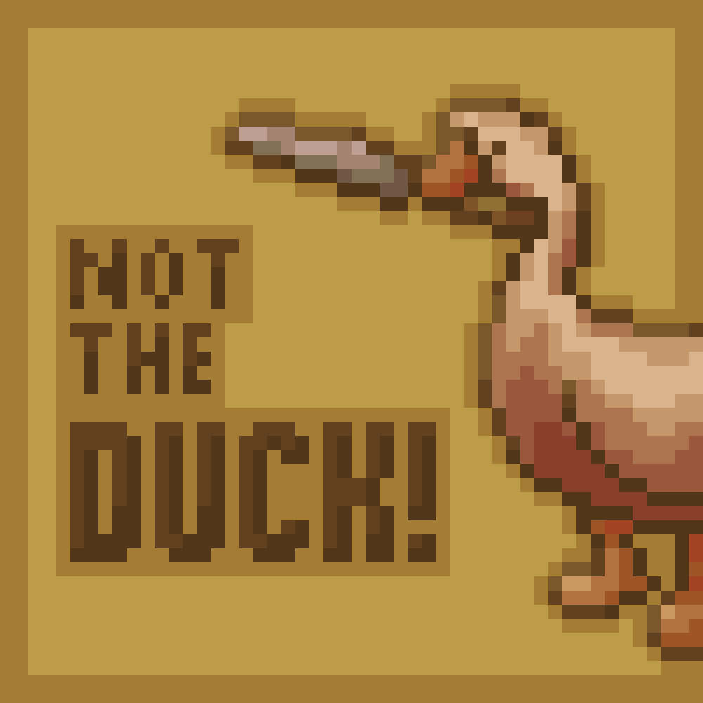 play Not The Ducks!!