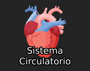 Sistema Circulatorio game