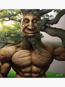 play El Oasis Milagroso