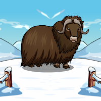 play G2J Release The Musk Ox