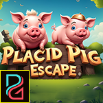 Placid Pig Escape game