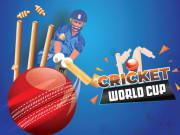 play Cricket World Cup