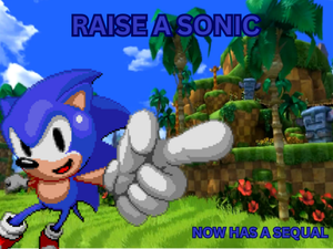 play Raise A Sonic 1