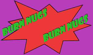 play Burn Nugs