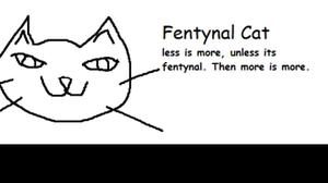 Fentanyl Cat game