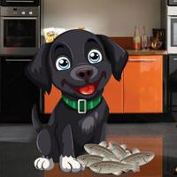 play G2R-Feed Hungry Black Dog