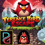 play Terence Bird Escape