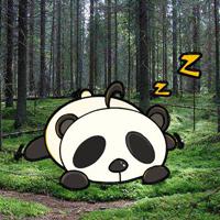 Wakeup The Snooze Panda game